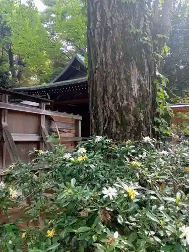 渋谷氷川神社(東京都)
