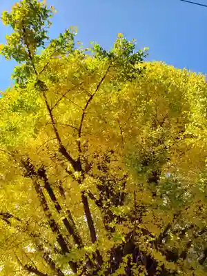 稼穡稲荷社(東京都)