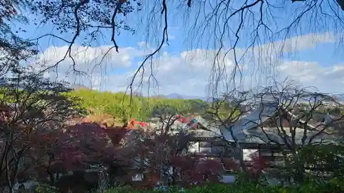 天龍寺(京都府)