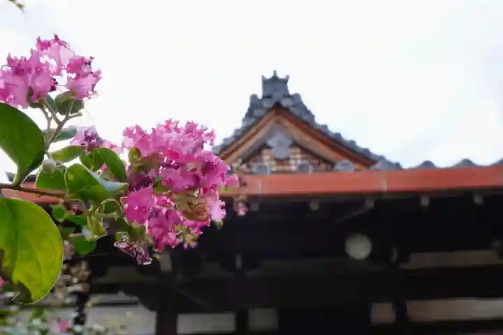寶樹院(宝樹院)(京都府)
