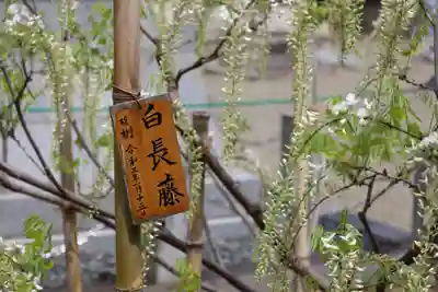 志那神社(滋賀県)
