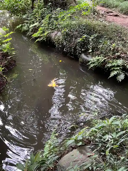 大神神社(栃木県)