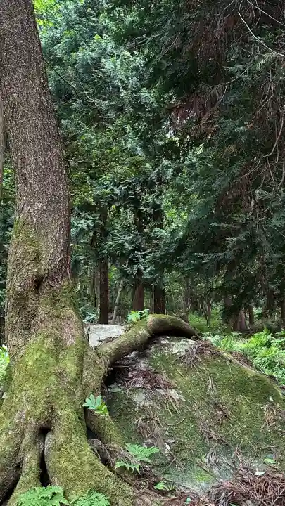 丹内山神社(岩手県)