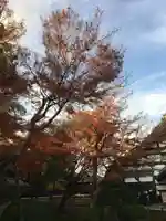 高台寺(高台寿聖禅寺・高臺寺)(京都府)