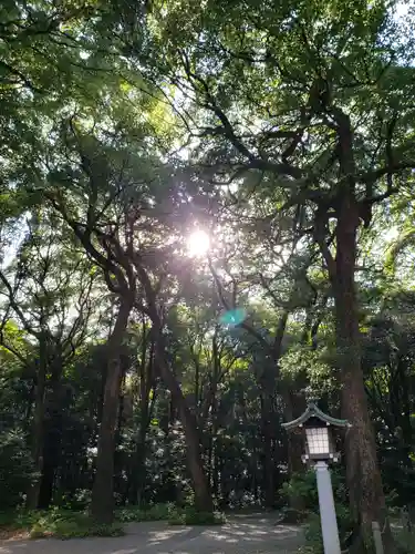 明治神宮の自然