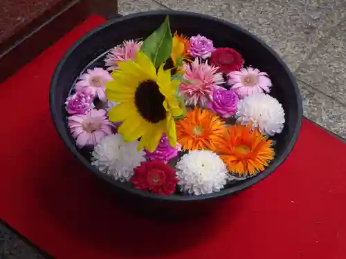 法輪寺の芸術
