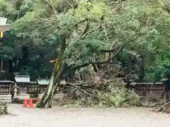 竈山神社(和歌山県)