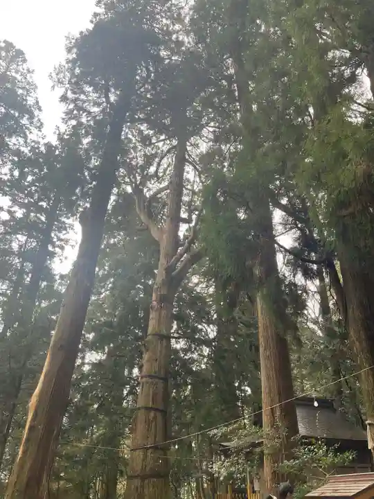 高千穂神社(宮崎県)