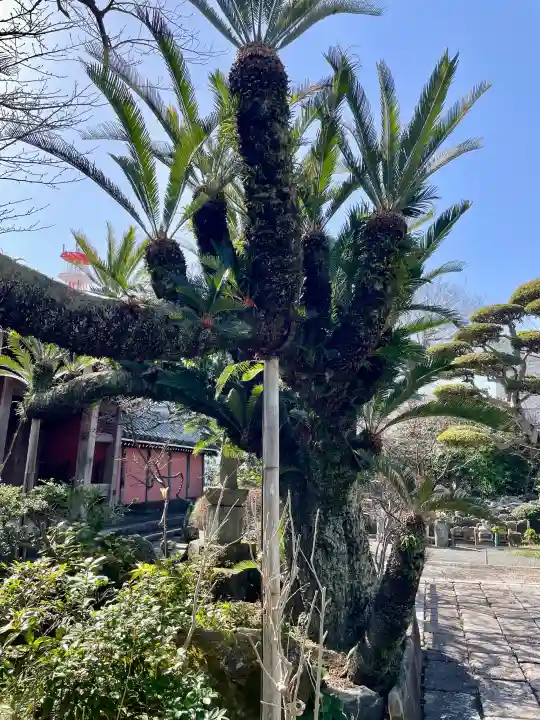 蓮光寺の{uncategorized: "未分類", other: "その他", undefined: "問題あり", building: "その他建物", grave: "お墓", sacred_gate: "鳥居", guardian: "狛犬", statue: "像", buddha: "仏像", history: "歴史", nature: "自然", garden: "庭園", animal: "動物", pagoda: "塔", temizu: "手水舎", mountain_gate: "山門・神門", sanctuary: "本殿・本堂", subordinate: "末社・摂社", art: "芸術", scenery: "景色", jizo: "地蔵", ema: "絵馬", goshuin: "御朱印", omikuji: "おみくじ", items: "授与品その他", amulet: "お守り", goshuincho: "御朱印帳", eats: "食事", festival: "お祭り", votive_dance: "神楽", shichigosan: "七五三参", wedding: "結婚式", experience: "体験その他", initially: "初詣", around: "周辺", anti_infection: "感染症対策"}