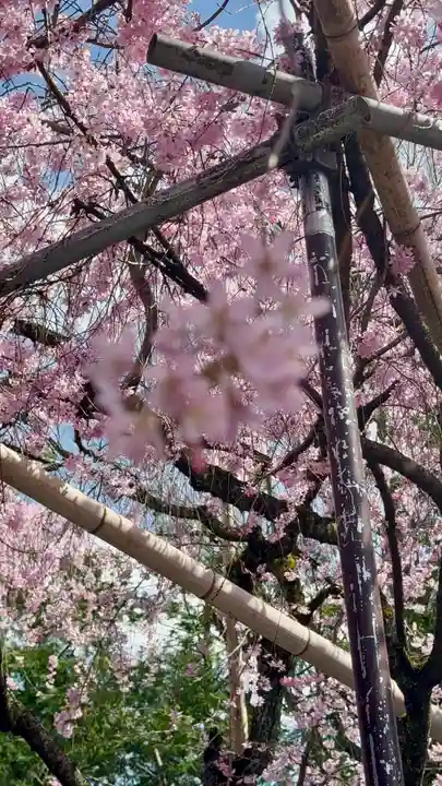 水火天満宮(京都府)