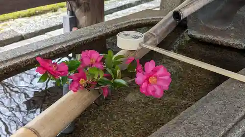 真正極楽寺（真如堂）(京都府)