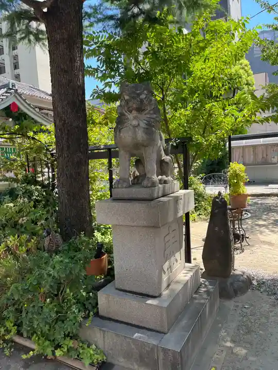 今戸神社の狛犬