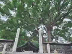 艮神社(広島県)