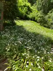 妙義神社の自然