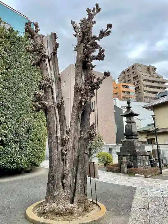 養昌寺(東京都)