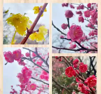 多治速比売神社(大阪府)