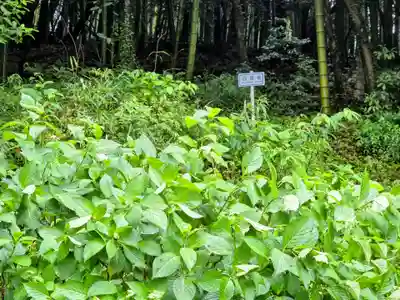 白狐稲荷神社(山口県)