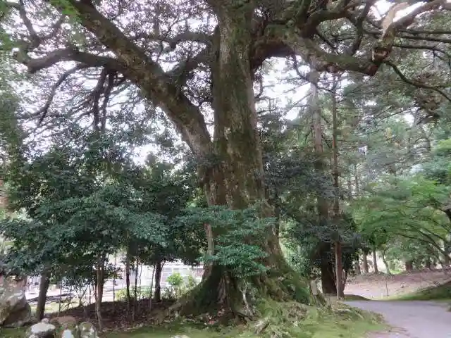 若狭神宮寺(福井県)