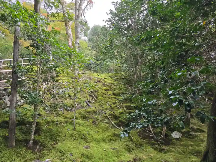 霊鑑寺門跡(京都府)