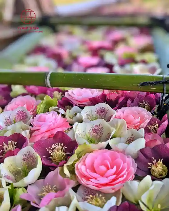 立志神社(滋賀県)