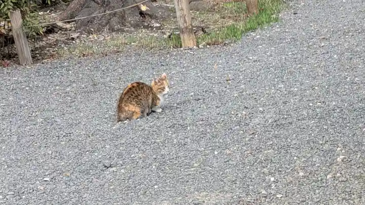 榮春禅寺(栄春寺)(京都府)