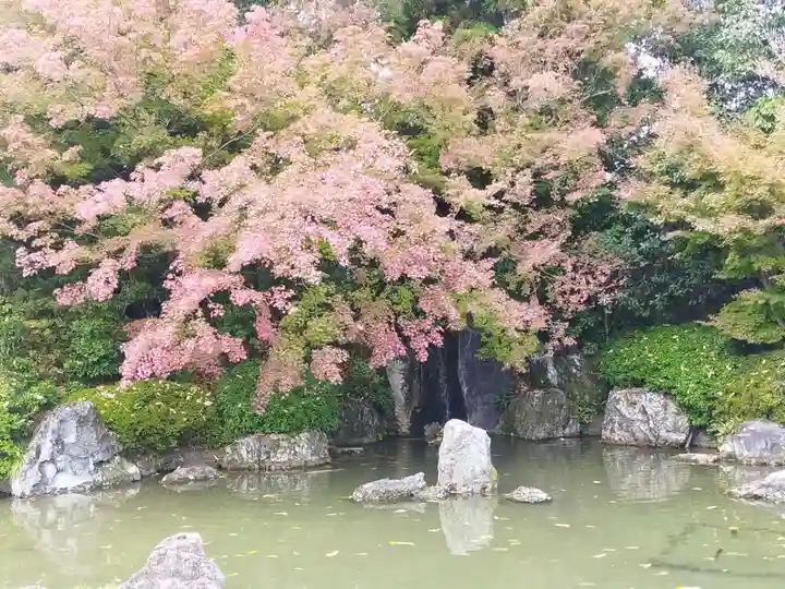 城南宮(京都府)