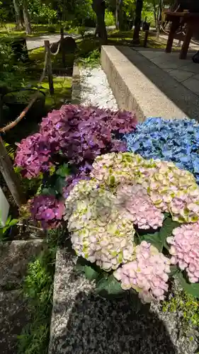 勝林寺(京都府)