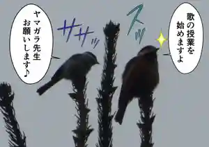 留辺蘂神社の動物(2024年09月25日(水) 22時15分22秒投稿)