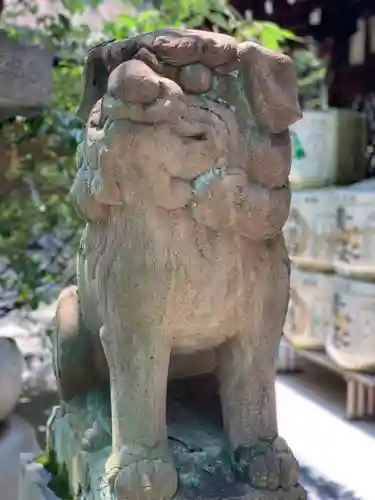 白峯神宮の狛犬