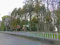 上畠神明社の自然