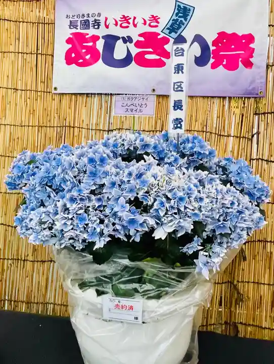 長國寺のお祭り