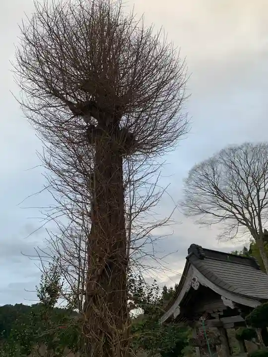 松岩寺(茨城県)
