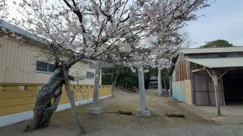 星宮神社の鳥居