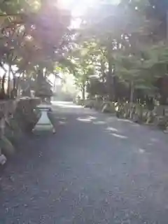 沙沙貴神社の自然