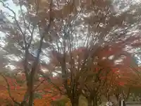 英彦山豊前坊高住神社(福岡県)