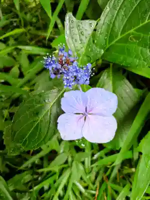 浄妙寺(神奈川県)