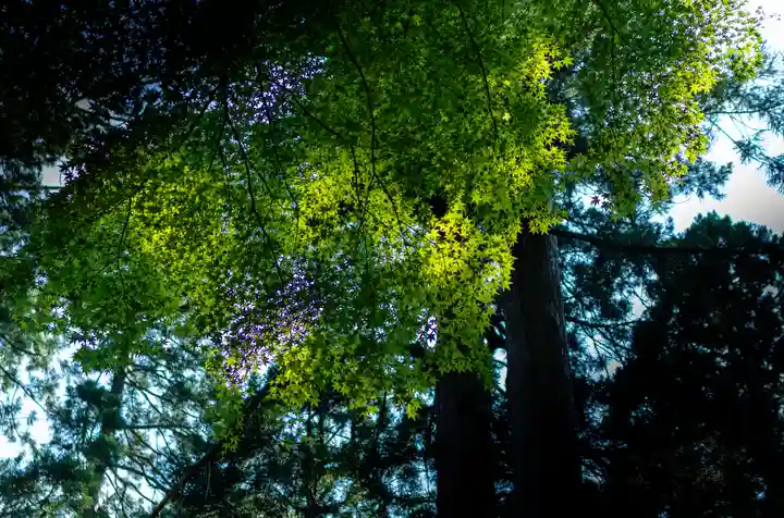 雄山神社中宮祈願殿(富山県)