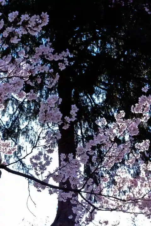 新城藤原神社(長野県)