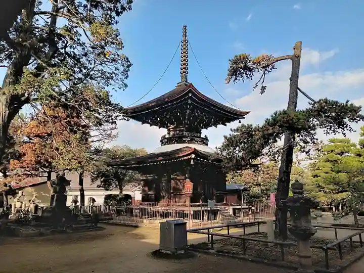 智恩寺(京都府)