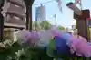 阿邪訶根神社の手水舎