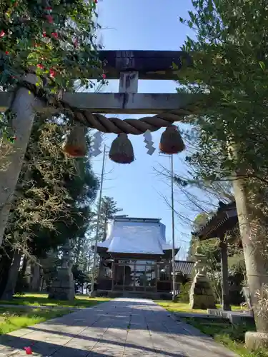 小杉神社の鳥居