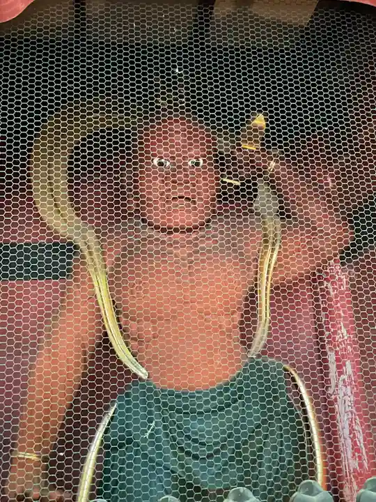 水澤寺(水澤観世音)の像