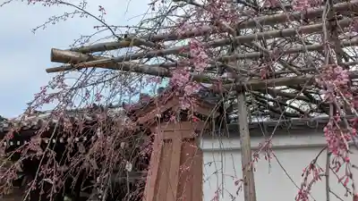 西住院(京都府)