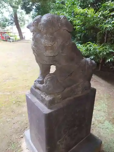 富岡八幡宮の狛犬