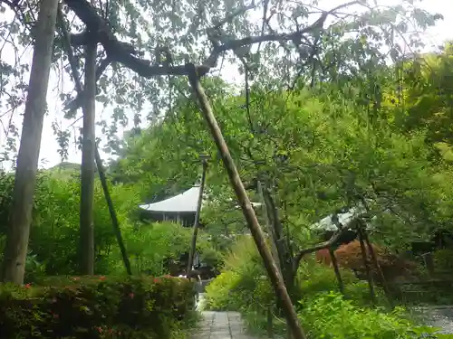 瑞泉寺の庭園