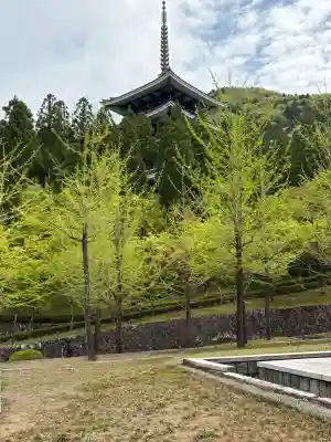 清大寺(越前大仏)の{uncategorized: "未分類", other: "その他", undefined: "問題あり", building: "その他建物", grave: "お墓", sacred_gate: "鳥居", guardian: "狛犬", statue: "像", buddha: "仏像", history: "歴史", nature: "自然", garden: "庭園", animal: "動物", pagoda: "塔", temizu: "手水舎", mountain_gate: "山門・神門", sanctuary: "本殿・本堂", subordinate: "末社・摂社", art: "芸術", scenery: "景色", jizo: "地蔵", ema: "絵馬", goshuin: "御朱印", omikuji: "おみくじ", items: "授与品その他", amulet: "お守り", goshuincho: "御朱印帳", eats: "食事", festival: "お祭り", votive_dance: "神楽", shichigosan: "七五三参", wedding: "結婚式", experience: "体験その他", initially: "初詣", around: "周辺", anti_infection: "感染症対策"}