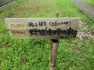 加茂神社の歴史