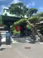 長谷寺の山門・神門