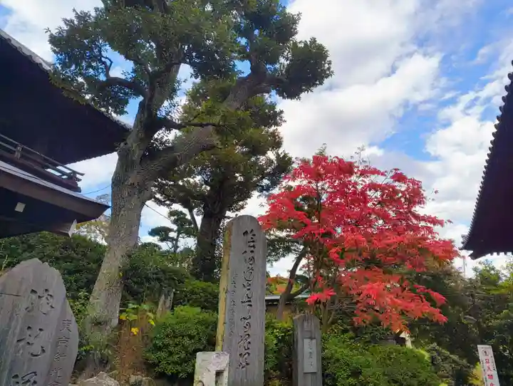 護国寺(東京都)
