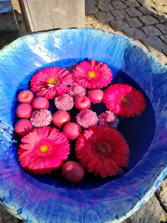 川越八幡宮(埼玉県)